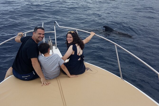 Whale watching and snorkelling in the whale sanctuary - Following the cliffs of Isorana