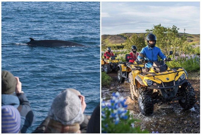 Whale Watching & ATV Adventure from Reykjavik - The ATV ride at Lambhagi