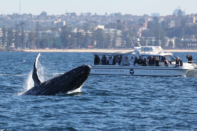 Whale Watching Boat Trip in Sydney - Leaving Darling Harbour for the open sea