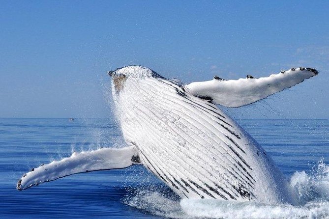 Whale Watching Busselton - Setting out from Port Geographe Marina