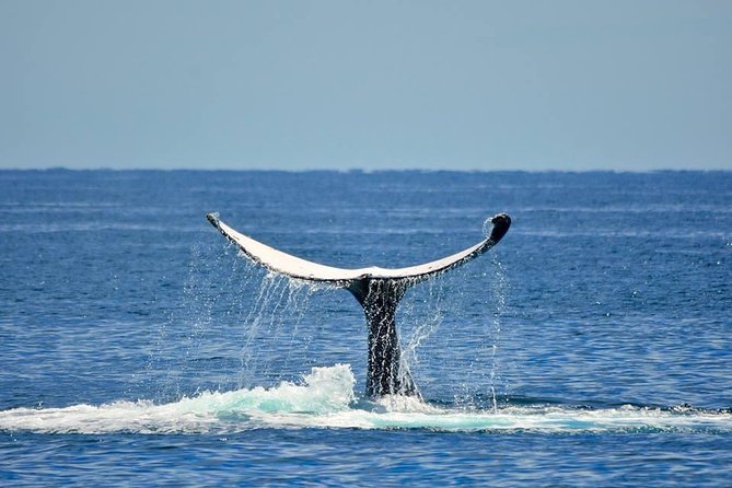 Whale Watching Busselton - Leaving the canals for Geographe Bay
