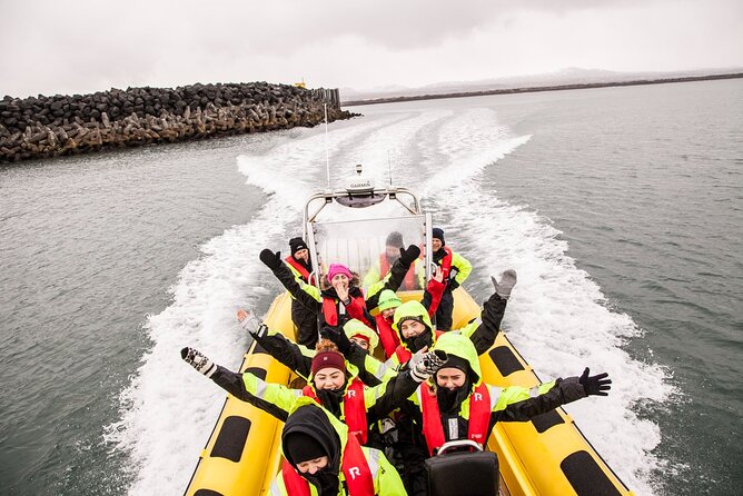 Whale Watching by RIB Speedboat from Downtown Reykjavik - Key points before you book