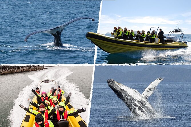 Whale Watching by RIB Speedboat from Downtown Reykjavik - Leaving downtown Reykjavik for Faxaflói Bay