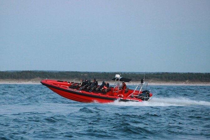 Whale Watching by RIB Speedboat from Downtown Reykjavik - Why the small boat can improve wildlife viewing