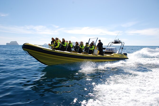 Whale Watching by RIB Speedboat from Downtown Reykjavik - Weather, cancellations, and planning around the tour