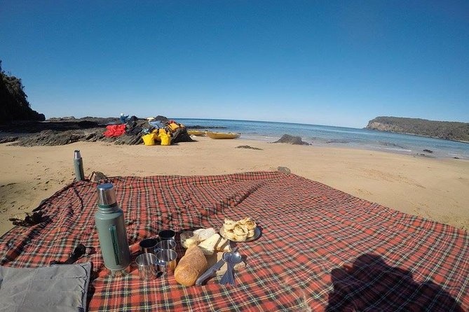 Whale Watching by Sea Kayak in Batemans Bay - The Beach Stop: Snacks, Swimming, and a Reset
