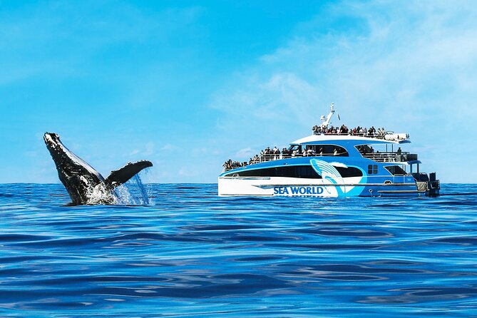 Whale Watching by Sea World Cruises - Leaving Main Beach for the open sea
