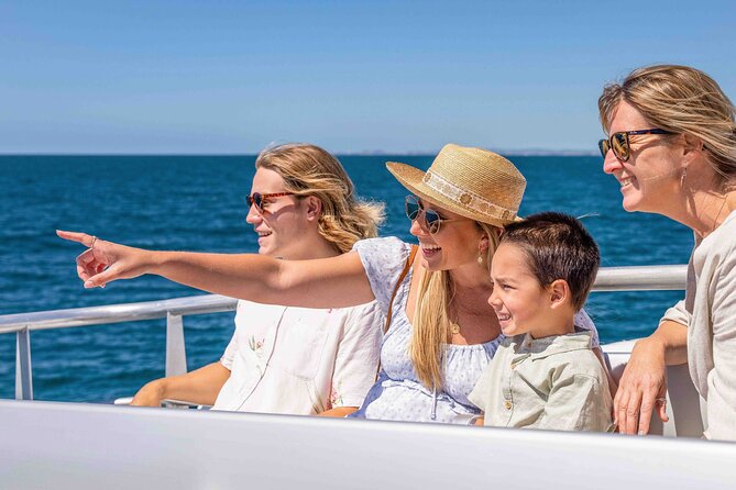 Whale Watching by Sea World Cruises - What you might see besides humpbacks