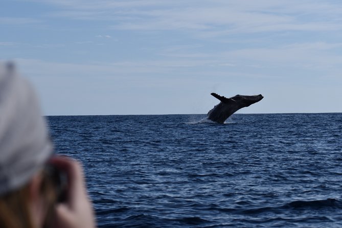 Whale Watching Cabo-Women crew-Sightings Guaranteed & Free Photos - The hydrophone is the tour’s best extra