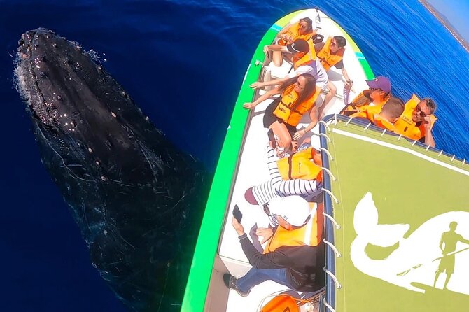 Whale Watching Cabo-Women crew-Sightings Guaranteed & Free Photos - Photos included, with one important caution
