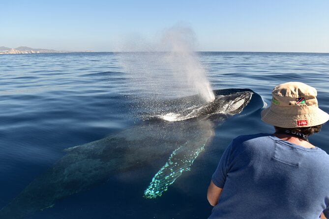 Whale Watching Cabo-Women crew-Sightings Guaranteed & Free Photos - Leaving the dock near Breathless Cabo