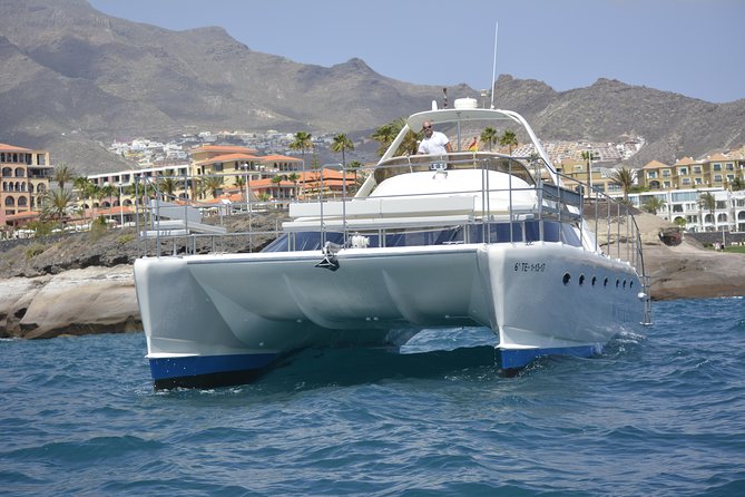 Whale Watching Catamaran Cruise with Transfer, Buffet by MC - A buffet with tapas, fruit, and free-flowing drinks
