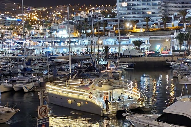Whale Watching Catamaran Cruise with Transfer, Buffet by MC - Who will enjoy this cruise most?