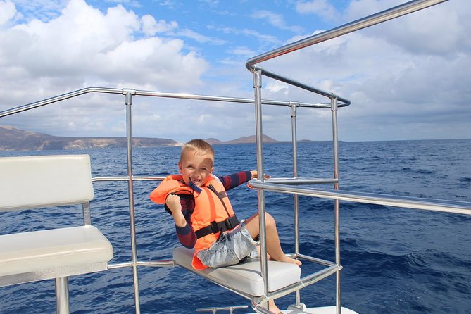 Whale Watching Catamaran Cruise with Transfer, Buffet by MC - Three hours on a purpose-built catamaran