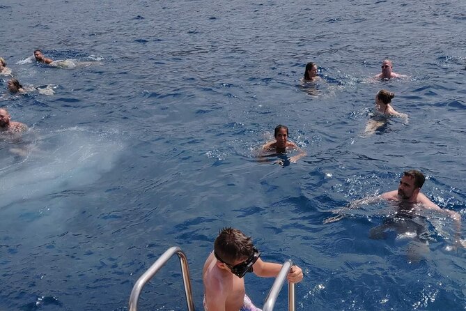Whale Watching Catamaran in Costa Adeje (Including drinks & Sandwich) - Sandwiches, drinks, and onboard extras