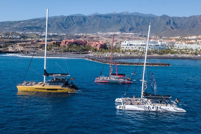 Whale Watching Catamaran in Costa Adeje (Including drinks & Sandwich) - Seasickness, wind, and practical comfort