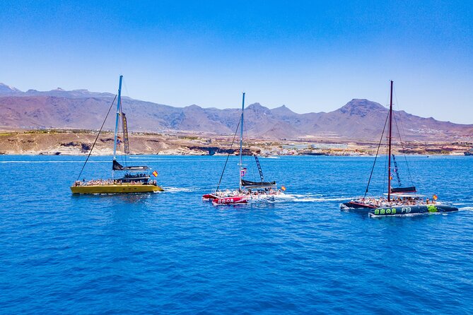 Whale Watching Catamaran in Costa Adeje (Including drinks & Sandwich) - Who will enjoy this Costa Adeje boat trip?