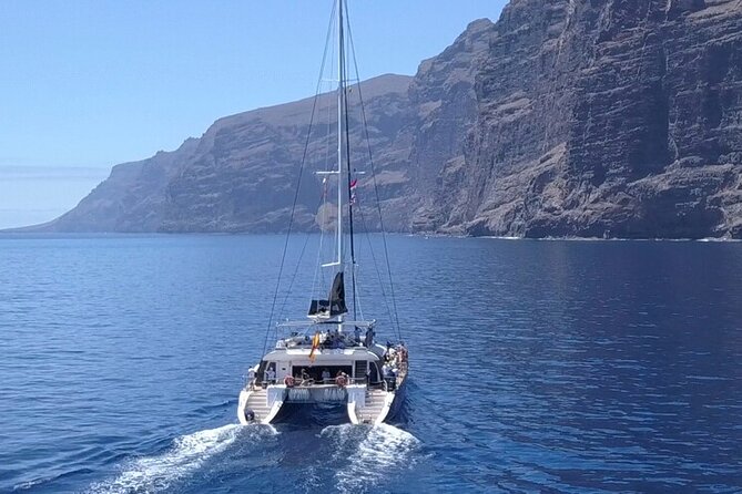 Whale Watching Catamaran to Los Gigantes & Masca (Including drinks & warm lunch) - Key points before you book