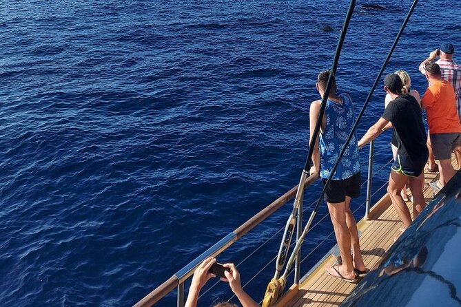 Whale Watching Catamaran to Los Gigantes & Masca (Including drinks & warm lunch) - Is the $72 price good value?