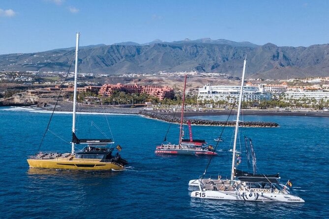 Whale Watching Catamaran to Los Gigantes & Masca (Including drinks & warm lunch) - Practical details that can make or break the day