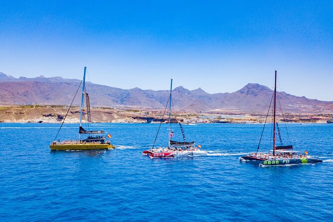 Whale Watching Catamaran to Los Gigantes & Masca (Including drinks & warm lunch) - Who will enjoy this catamaran most?