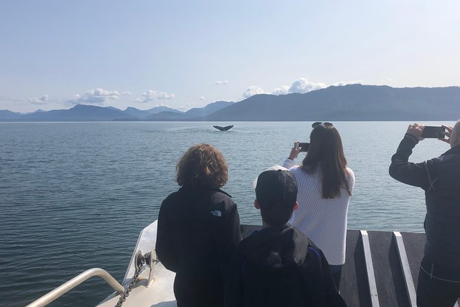 Whale Watching Charters and Bear search through Icy Strat Alaska - Setting out from Icy Strait Point