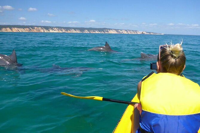 Whale Watching Cruise from Mooloolaba - Crew commentary that adds real value