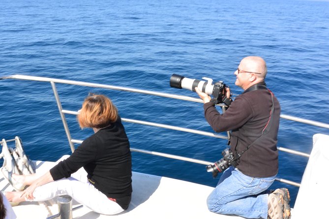 Whale Watching Cruise from Mooloolaba - Practical planning for your Mooloolaba day