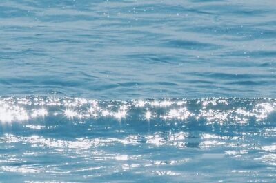 Whale-Watching Cruise from Newport Beach