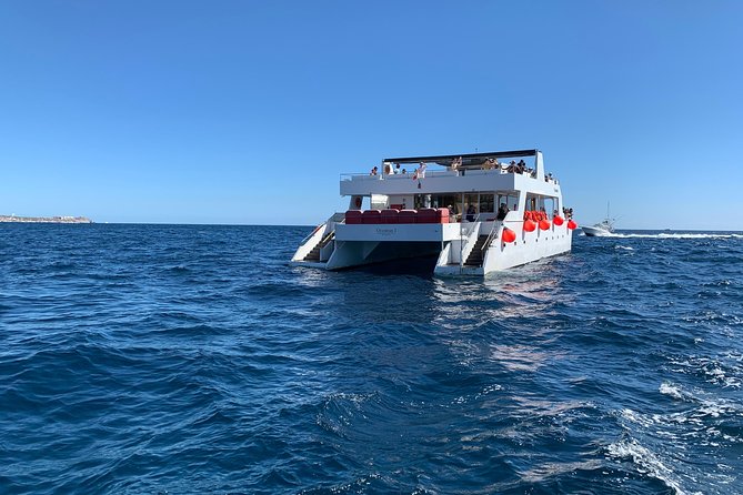 Whale Watching Cruise in Cabos San Lucas and Ground Transportation - Searching for Humpback Whales Offshore