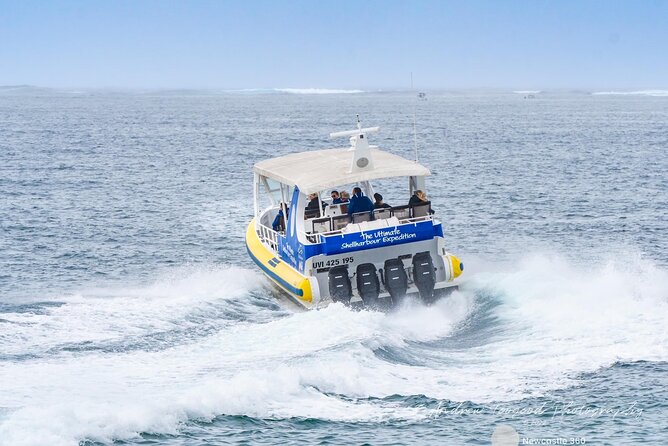 Whale Watching Cruise in New South Wales - The crew can shape the whole outing
