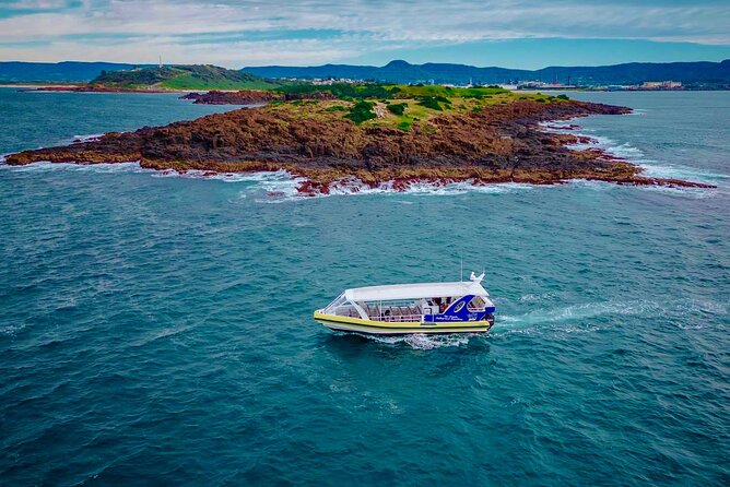 Whale Watching Cruise in New South Wales - Who will enjoy this cruise most?