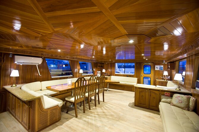 Whale Watching Cruise on a Yacht in Reykjavik - The wildlife you might see