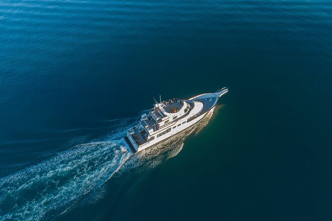 Whale Watching Cruise on a Yacht in Reykjavik - Islands, seabirds, and Reykjavík from the water