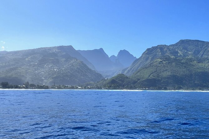Whale watching DE Humpback West Coast of Tahiti - Meeting at 7:30 am in Puna’auia