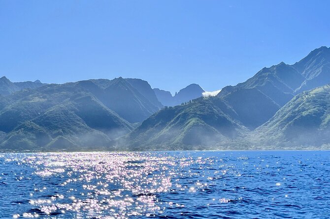 Whale watching DE Humpback West Coast of Tahiti - Safety, Rules, and Responsible Expectations
