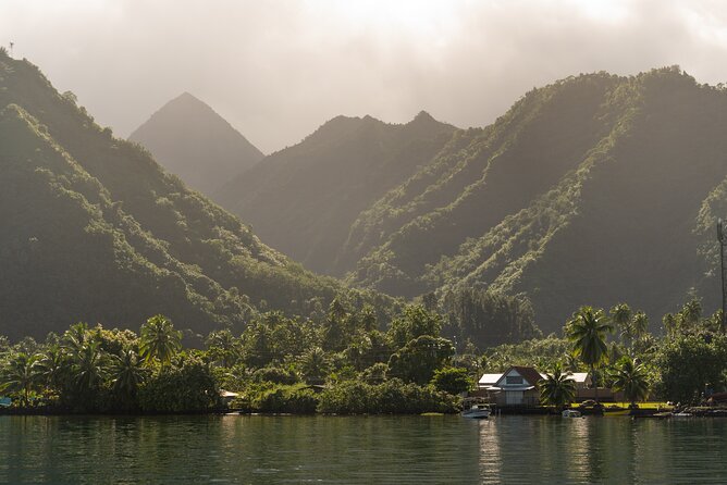 Whale watching DE Tahiti Peninsula - What the swim option really involves