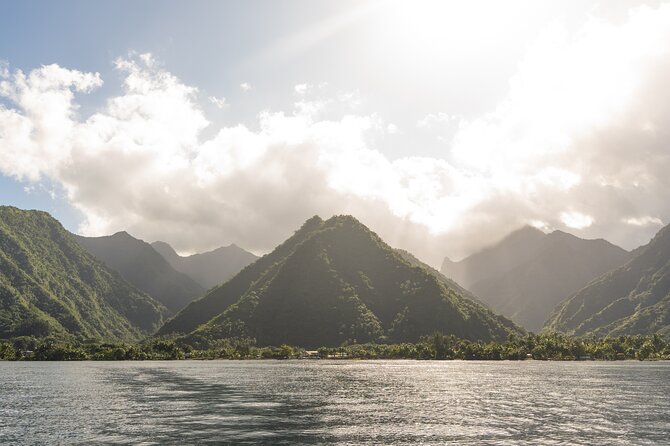 Whale watching DE Tahiti Peninsula - Booking advice and cancellation rules