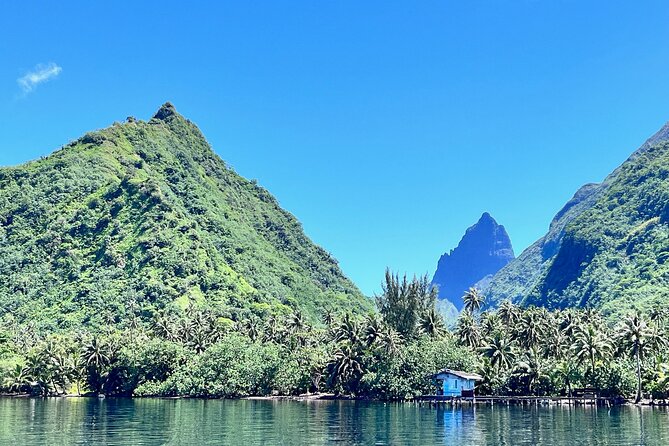 Whale watching DE Tahiti Peninsula - Seeing whales from the boat