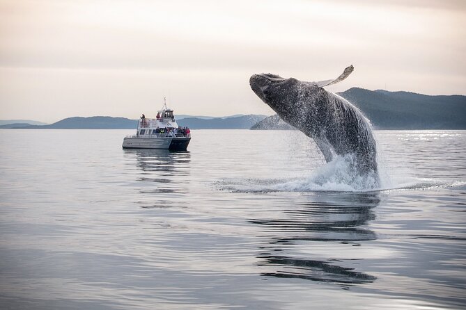 Whale Watching + Deception Pass Tour from Seattle - Two and a half hours at Deception Pass State Park