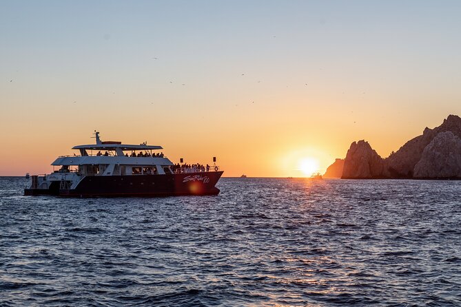 Whale Watching Dinner Cruise in Cabo San Lucas - Comfort, space, and accessibility on board