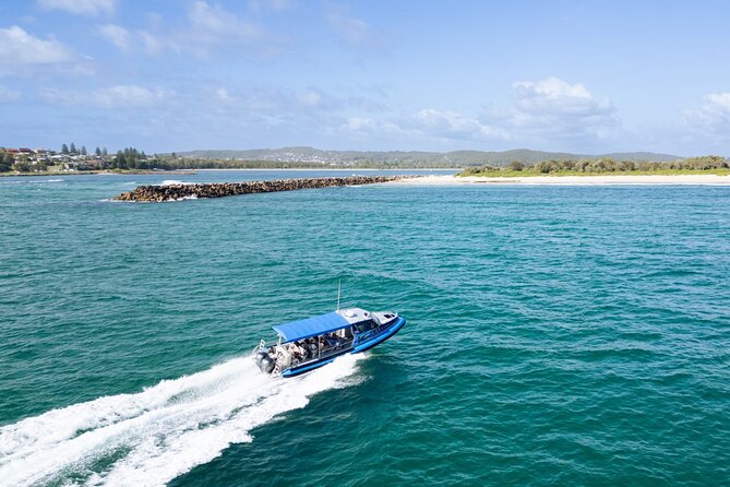 Whale Watching Discovery Tour from Lake Macquarie - Guides, safety, and the practical comforts