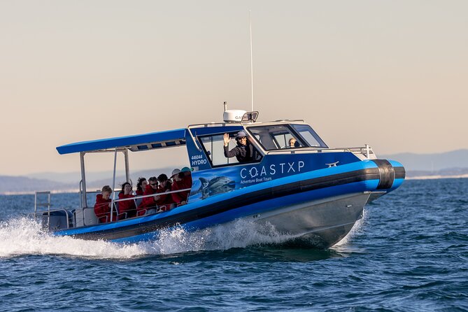 Whale Watching Discovery Tour from Lake Macquarie - Is $89.66 a fair price?