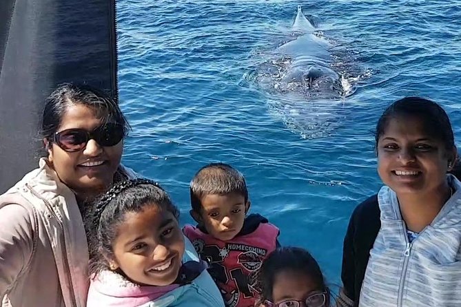 Whale Watching Dunsborough - Is the $68.14 price good value?