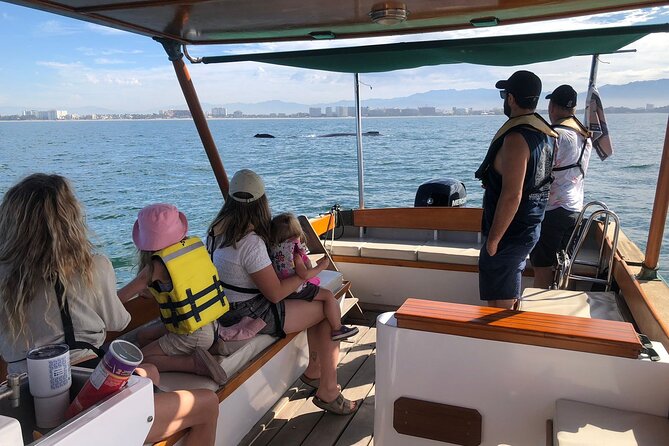 Whale Watching Experience – 4 Hours in Puerto Vallarta - Key points to know before booking