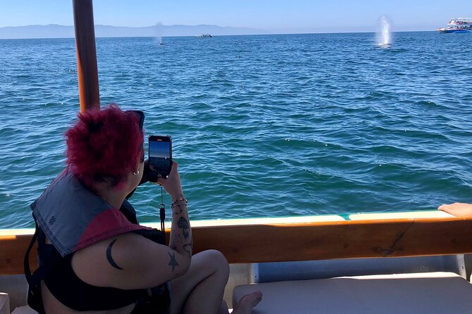 Whale Watching Experience – 4 Hours in Puerto Vallarta - Setting out from Marina Los Peines