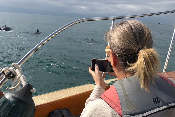 Whale Watching Experience – 4 Hours in Puerto Vallarta - Whale and dolphin sightings in the open bay