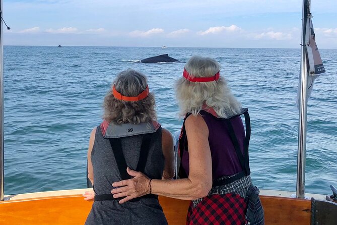 Whale Watching Experience – 4 Hours in Puerto Vallarta - Why the fast boat matters in Banderas Bay