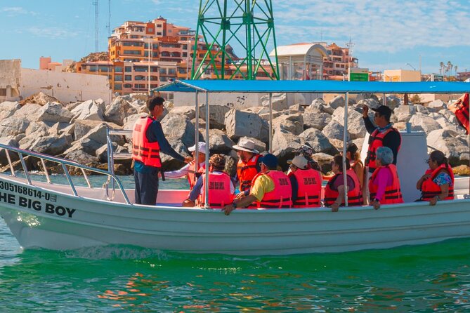 Whale Watching Experience in Cabo San Lucas 2 hours - Comfort, access, and the practical details