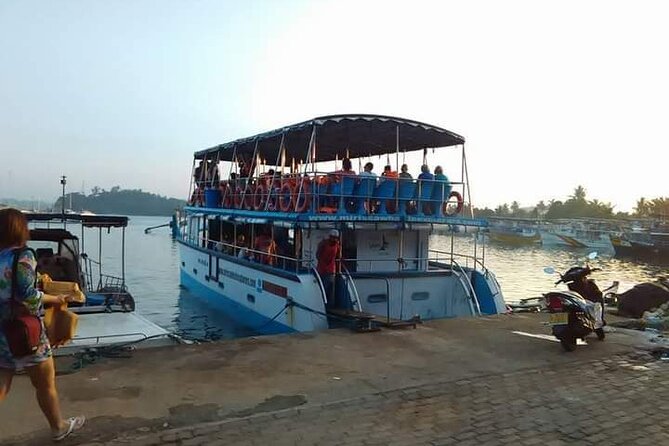 Whale Watching Experience in Mirissa - What the four hours feel like